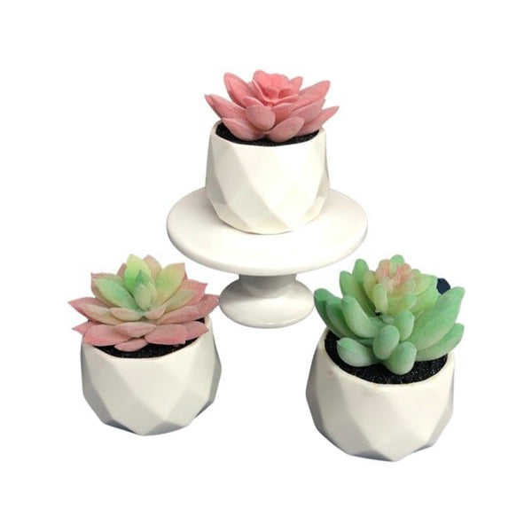 "Black Rock Desert" Decorative Ceramic Pot Succulent Plants - 3 Pieces