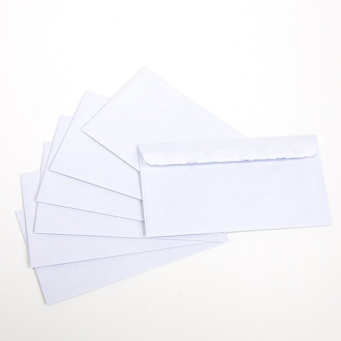 Safe Shell Envelope #10 Self-Seal Security Envelope (40/Pack) – TheCEO.Store