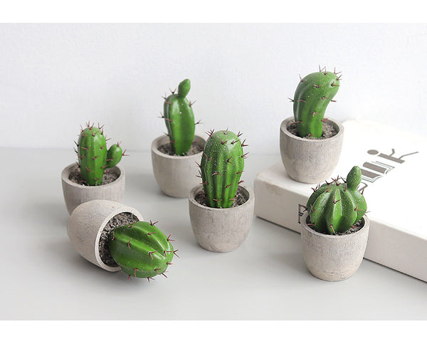 "Baja Desert" Artificial Mini Potted Succulent Cactus Plants in Clay Pots - 6 Pieces