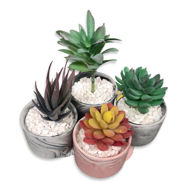 Set Of Our "Mojave Desert" Decorative Succulent Plants In Marbalized Ceramic Pot - 4 Pieces